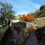 Casa Myrta 3 étoiles Сasa de vacaciones Porto Vecchio