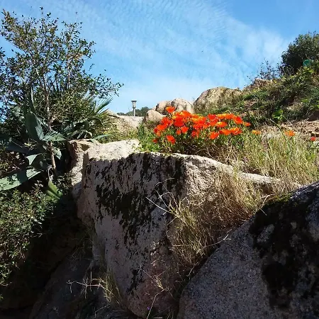 Casa Myrta 3 Etoiles Vakantiehuis Porto-Vecchio (Corsica)