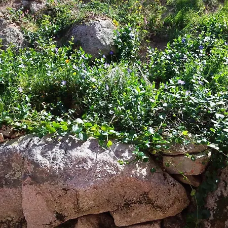 Casa Myrta 3 Etoiles