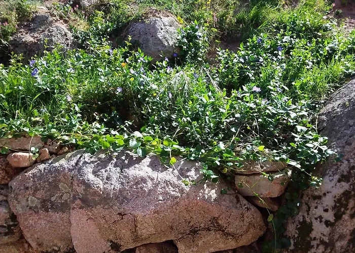 Casa Myrta 3 étoiles