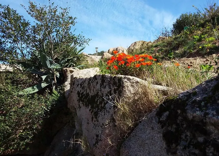 Casa Myrta 3 Etoiles Semesterbostad Porto-Vecchio (Corsica)